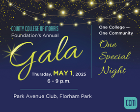 Carousel image 4c928850faa9d3029802 ccm foundation gala