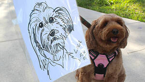 Carousel image 846a2d03aeb3981e0267 cc dog expo 1