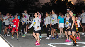 Carousel image a5fa86e2b716d7d202f9 cc butterfly 5k 4