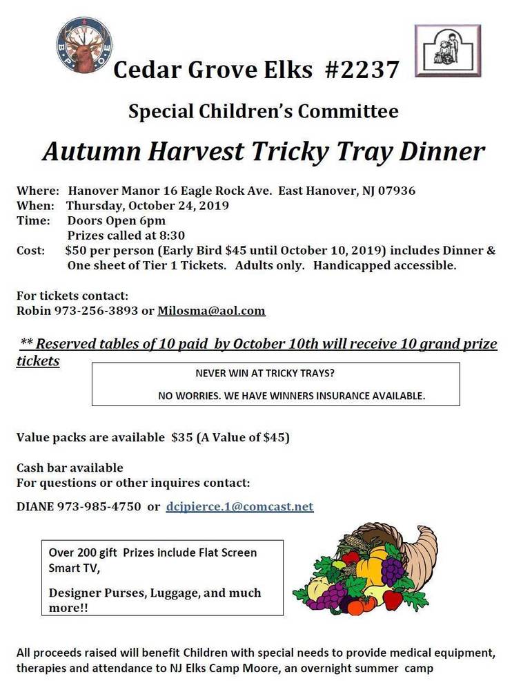 CG ELKS TRICKY TRAY FLYER 2019.jpg