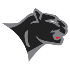 Carousel image d67cb63f0d24f30248f6 chatham panther icon 2