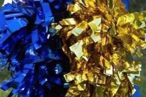 Carousel_image_eb1fd63f29444de4f29b_cheer