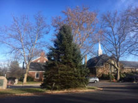 Downtown Basking Ridge Holiday Tree Goes Up on Saturday [Updated ...