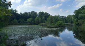 Carousel_image_77c300d6d01f1f6383ae_clark_ressi