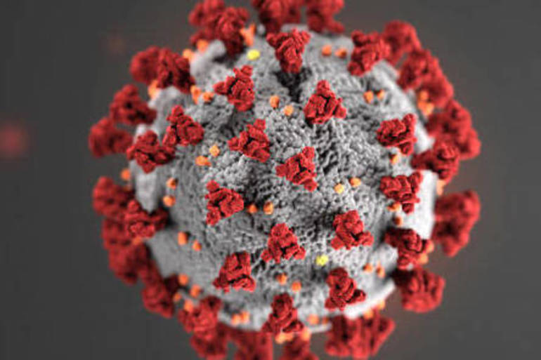 coronavirus.jpg