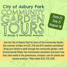 Carousel image 05850bfc4d05e4e52aa1 community garden tours 1 