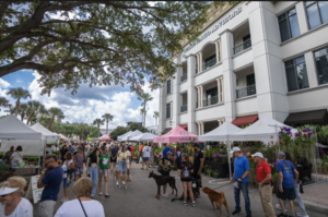 Carousel image 0bc6fe44be78970ba397 coral springs festival of the arts 1