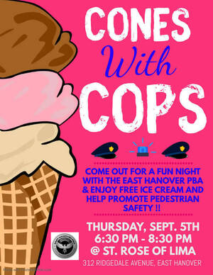 Carousel image 11ae1c6cc6e5cce468b5 cones with cops