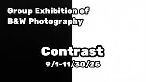 Carousel image 339e14a81c0439b2654c contrast group art exhibition roxburyarts