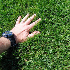 Carousel image 50406b1535d3e13d5bac combat extreme transition zone photo credit outsidepride