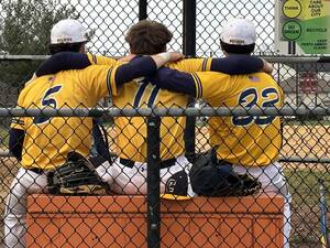 Carousel image 721f791b73cd689a6347 colonia baseball bench