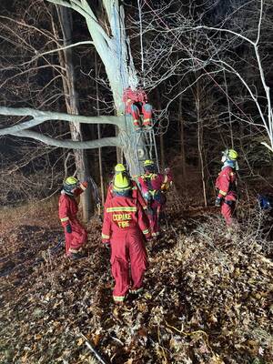 Carousel image 8197419801fff88a7cd7 copake firemen