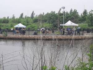 Carousel image 9805212b245757926c7c cops   bobbers 2025   01