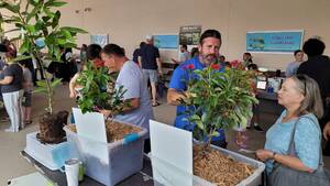 Carousel image a9b9ec1b153ec84351f3 coconut creek free trees 2