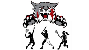 Carousel image d90b3e5b68b7377852cb combined with wildcast