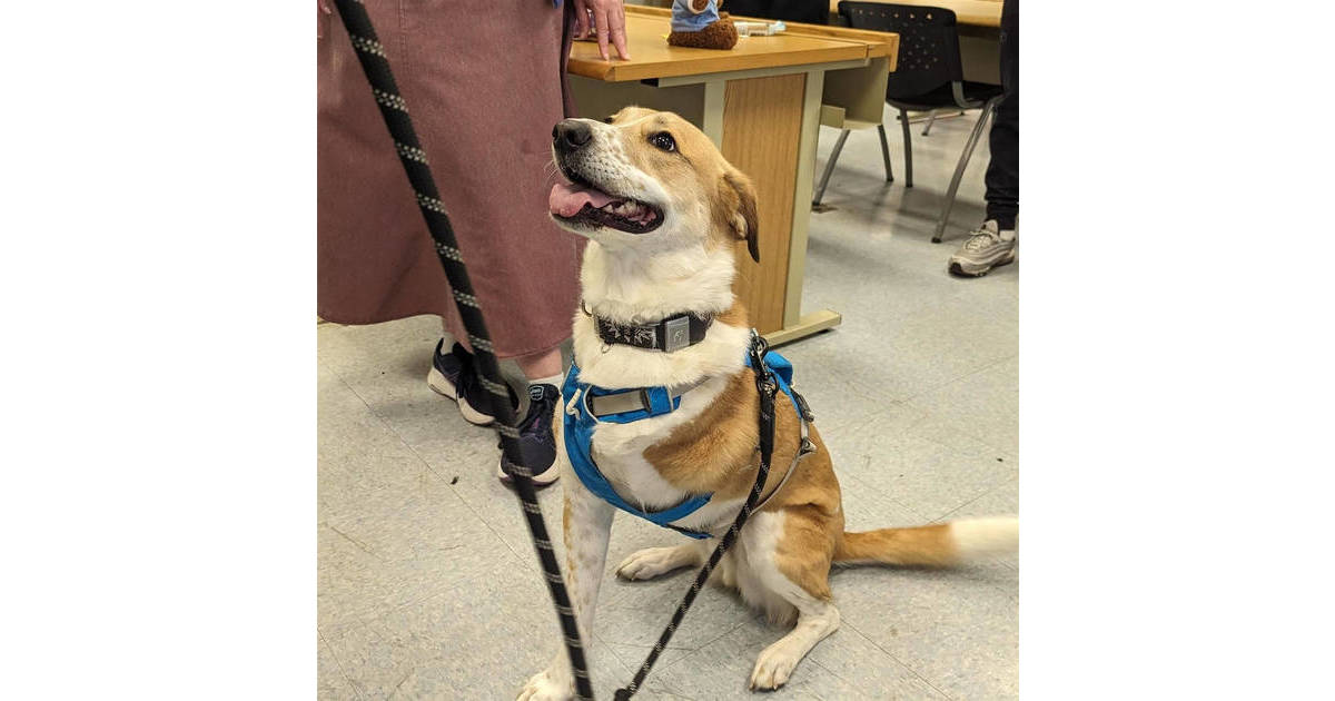 West Orange High School Engineering & Design Students to Create