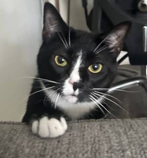 Carousel image 0b229701db9842df9436 crosby