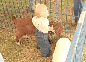 Carousel image 4413a7978a1ee0317a8c c rcs ffa hosts farm fest photo 1