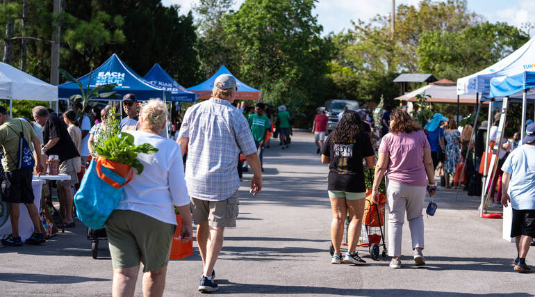 Coral Springs Earthfest Returns This Weekend With Nature Exhibits, Plant Giveaway at Sawgrass Nature Center