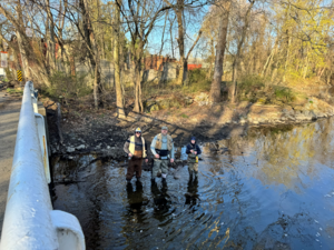 Carousel image 1dbc8e1d1151d2270519 dan p