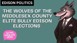 Carousel image a5f2372110311a7b3d59 david tingle for mayor of edison nj  2 