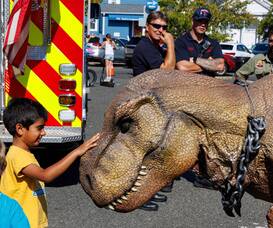 Carousel image 1f91ca inosaurs