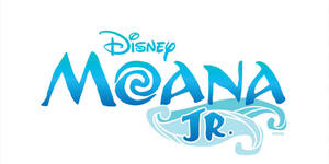 Carousel image 2fb888e4df984a70202e disney moana jr   google search