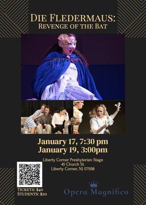 Carousel image 55f598025caf76843ccd die fledermaus poster jpeg 2