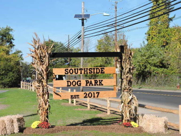 dog park.jpg