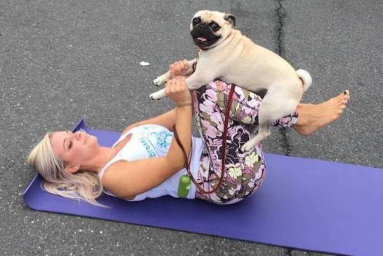 Puppy Yoga in Westfield Saturday will Raise Money for Dog Rescue TAPinto