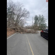 Carousel image 40d11a indstorm doylestown pa march