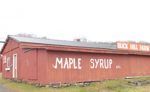 Carousel image 44088f271355c4d1b952 downpage photo 1