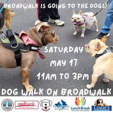 Carousel image 5dcc919e15a0e1238c6e dog walk on broadwalk  1 