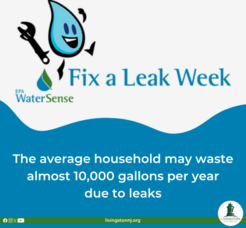 Carousel image a34de7362f9b51e07afd document 2