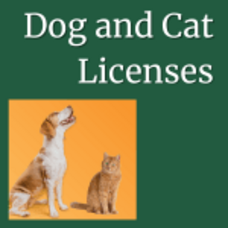 Carousel image a3acfe56d4bc12414ed9 document