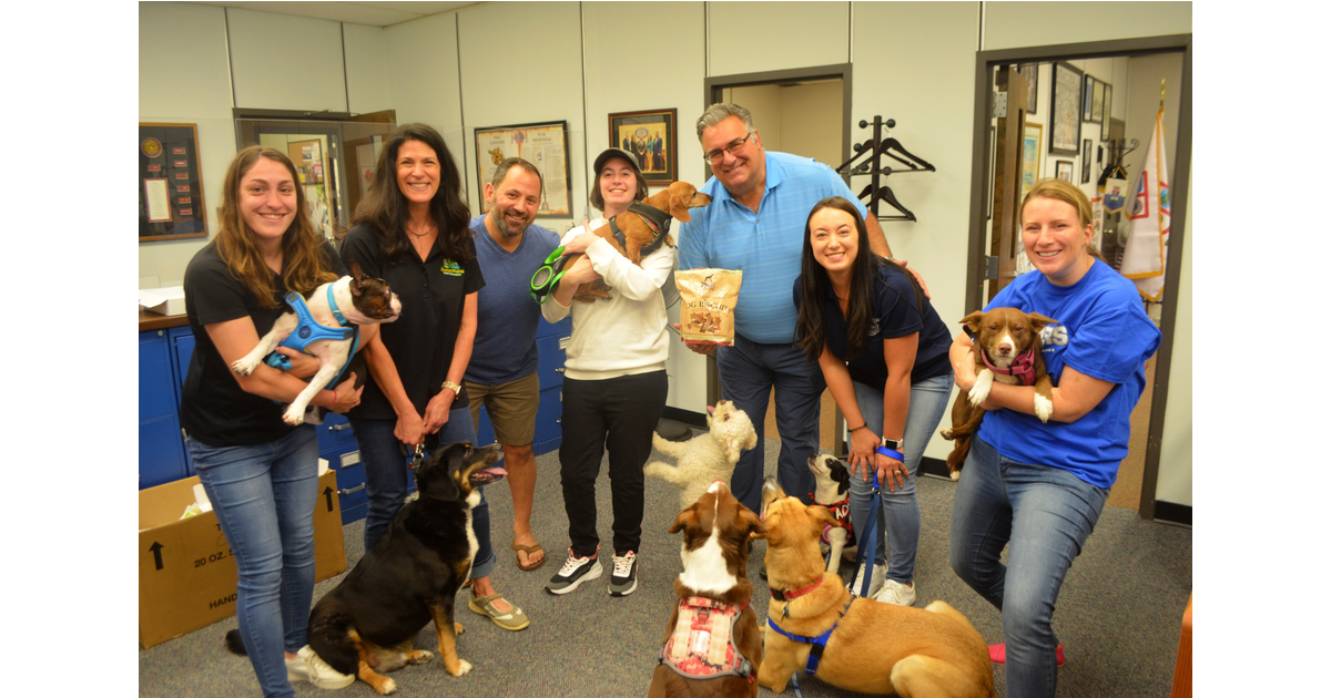 Who Let The Dogs In? Scotch Plains Dog Day Afternoon Scotch Plains