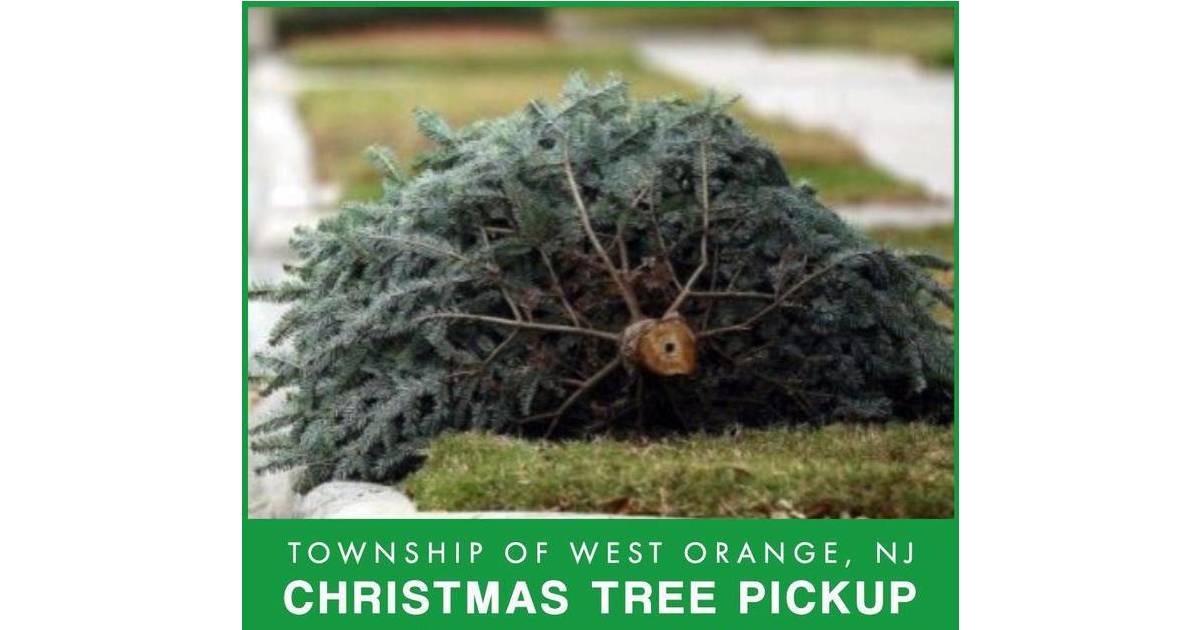 Christmas Tree Pick Up Starts Jan. 8 West Orange, NJ News TAPinto