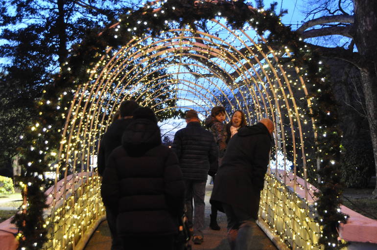 Millburn Winter Walk at Taylor Park Kicks off Holiday Season in Town TAPinto