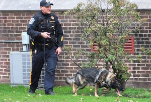 Carousel image 357bcfb1654ec5013136 dscf9314