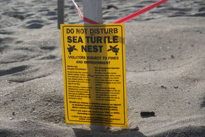 Carousel image a9bc679edcbb76a1599c dsc08429