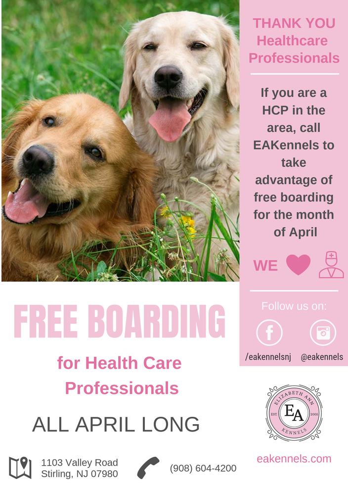 kennel free dog boarding near me