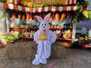 Carousel image 52d5ae elbourne each lorida yckman ark aster unny