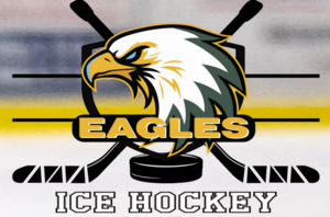 Carousel image c6a5ef2b97f00df523d3 eagles ice hockey