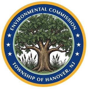 Carousel image 1c4b9e30cfe6c292d9b8 ec logo oak jpeg