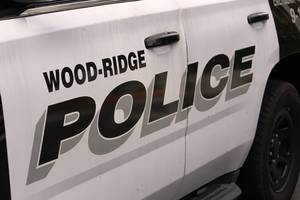 Wood-Ridge polic car