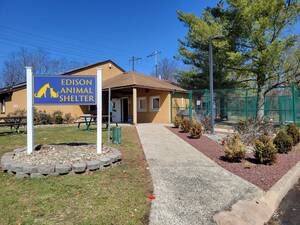 Carousel image clone 1710447 0a06d7a23c371ed5b2eb edisonanimalshelter