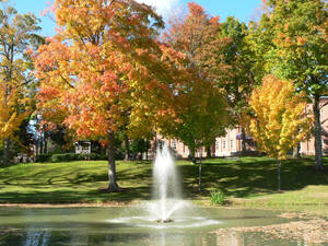 Carousel image 12809e9c3d2d0febe2be elmira college