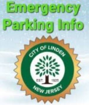 Carousel image c8ae6f0ef9120ad33dc0 emergency parkinging