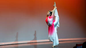 Carousel image 052ff8576ee91273555f excellence in the arts