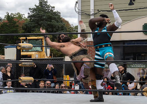 Carousel image 62204d2400441815a567 fanny wood day wrestling